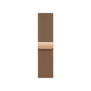 Смарт-часы Apple Watch Series 11 GPS + Cellular 42mm Gold Tit. Case w. Gold Milanese Loop (MF8Y4) - image 1