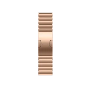 Смарт-часы Apple Watch Series 11 GPS + Cellular 42mm Natural Tit. Case w. Gold Link Bracelet (MF9H4+MXMC3) - image 1